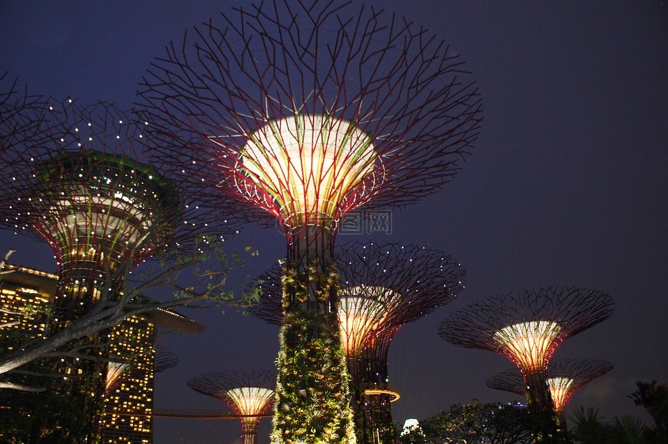 新加坡花园湾,supertree,新加坡