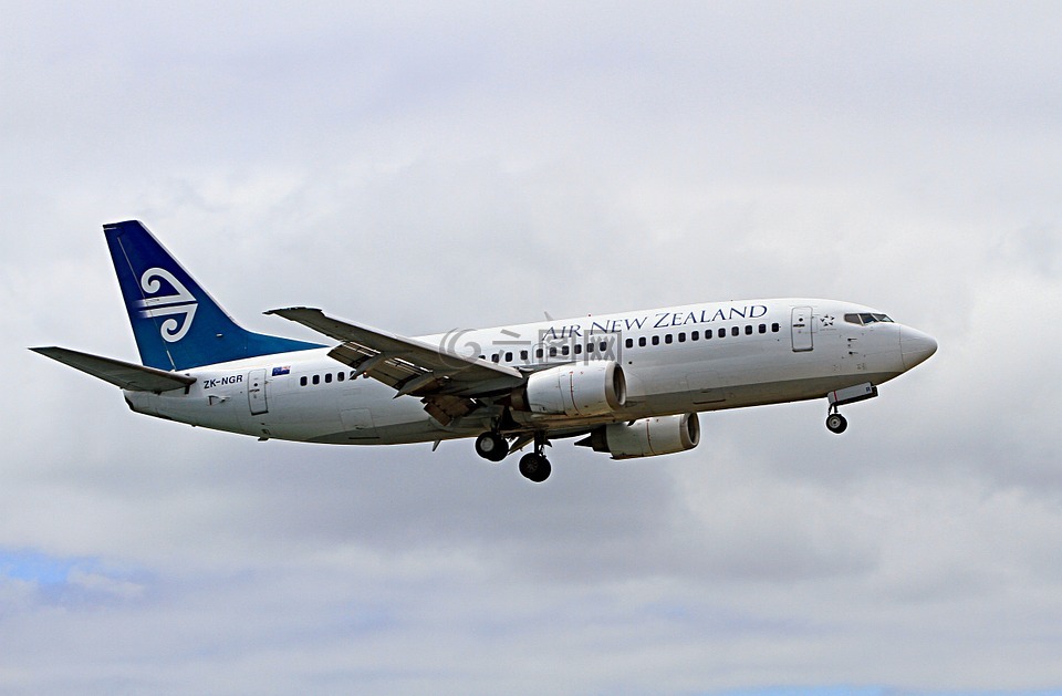 飞机,波音 737,新西兰航空