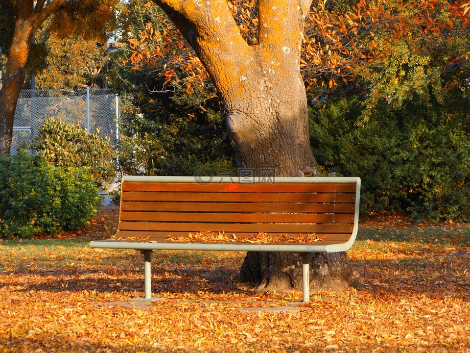 秋,公园长椅,维多利亚