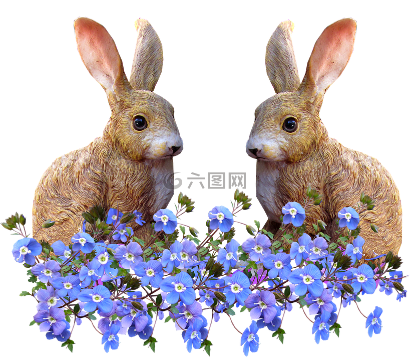 兔,蓝色花,剪出