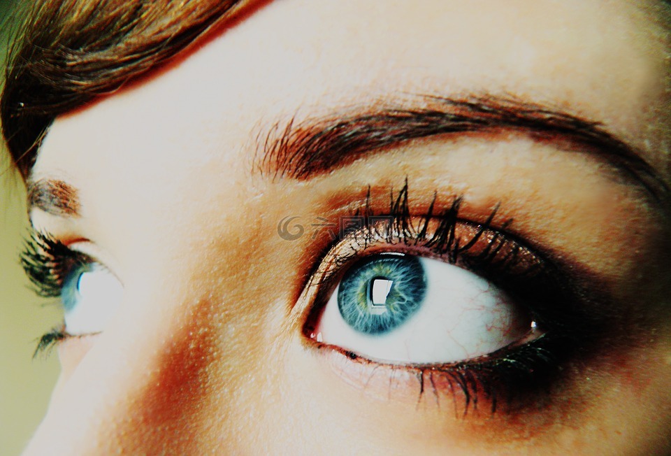 蓝色的眼睛,女子,女性