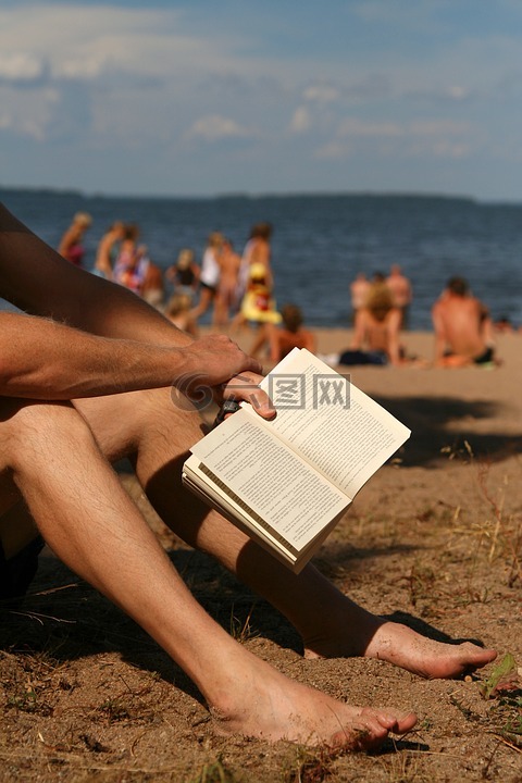 书,海滩,度假