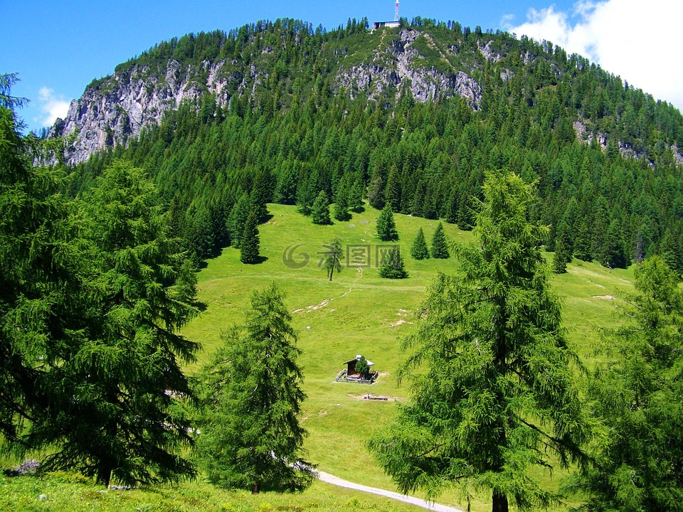 高山,田园诗,牧场