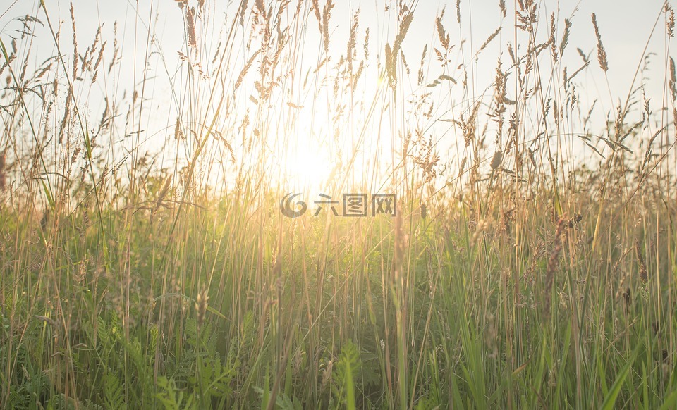 夏天,感觉,气氛