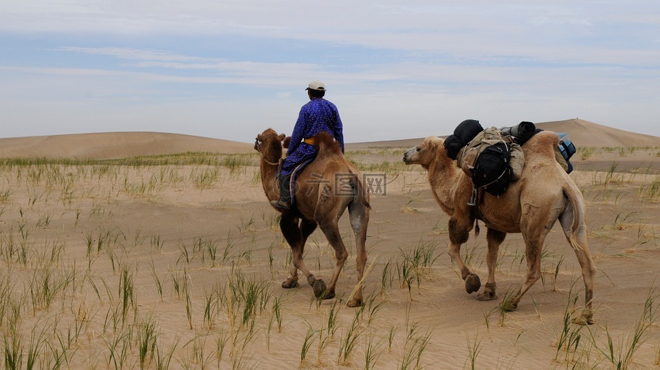 蒙古,沙漠,游牧人