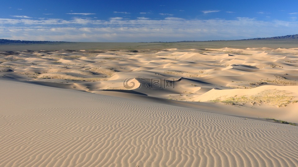 蒙古,沙漠,沙丘