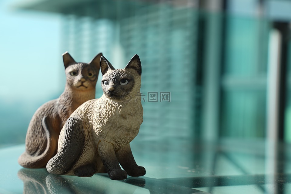 两只猫,陶瓷猫,装饰