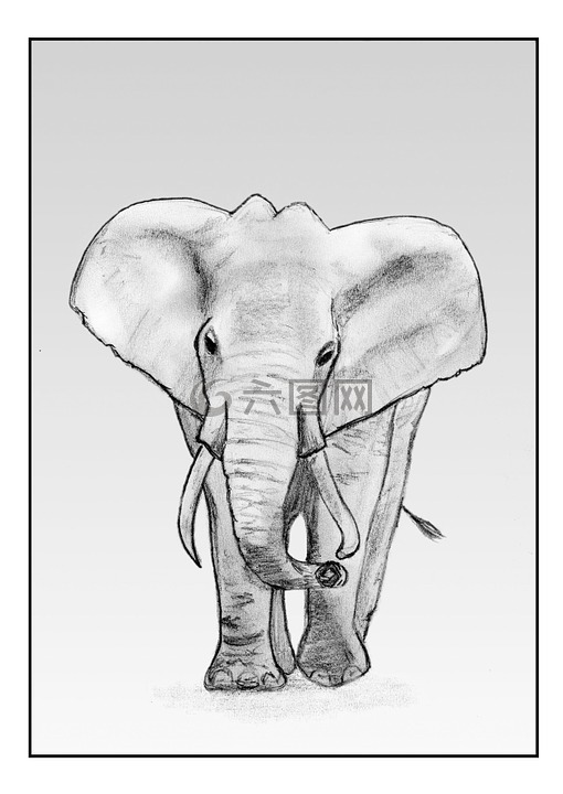 大象,绘图,铅笔
