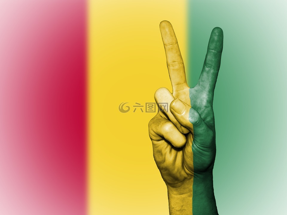 几内亚,和平,手
