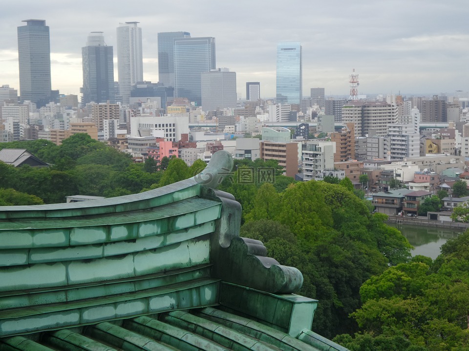 名古屋,城堡,日本