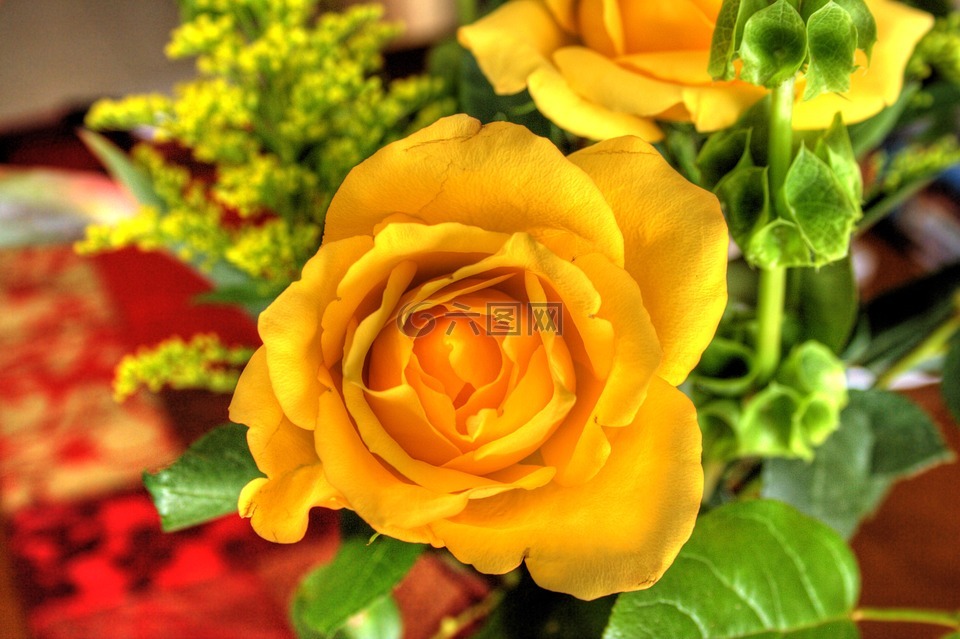 花花束,玫瑰,黄色
