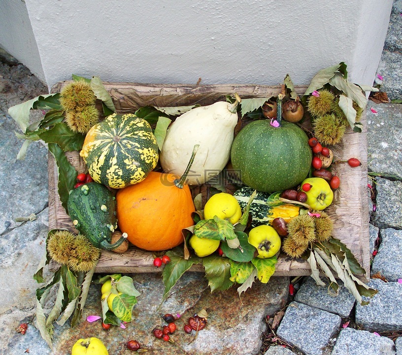 秋风景,töktermés,五颜六色的南瓜