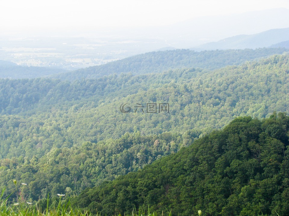 山,樹,丘陵高清圖庫素材免費下載(圖片編號:6850605)-六圖網