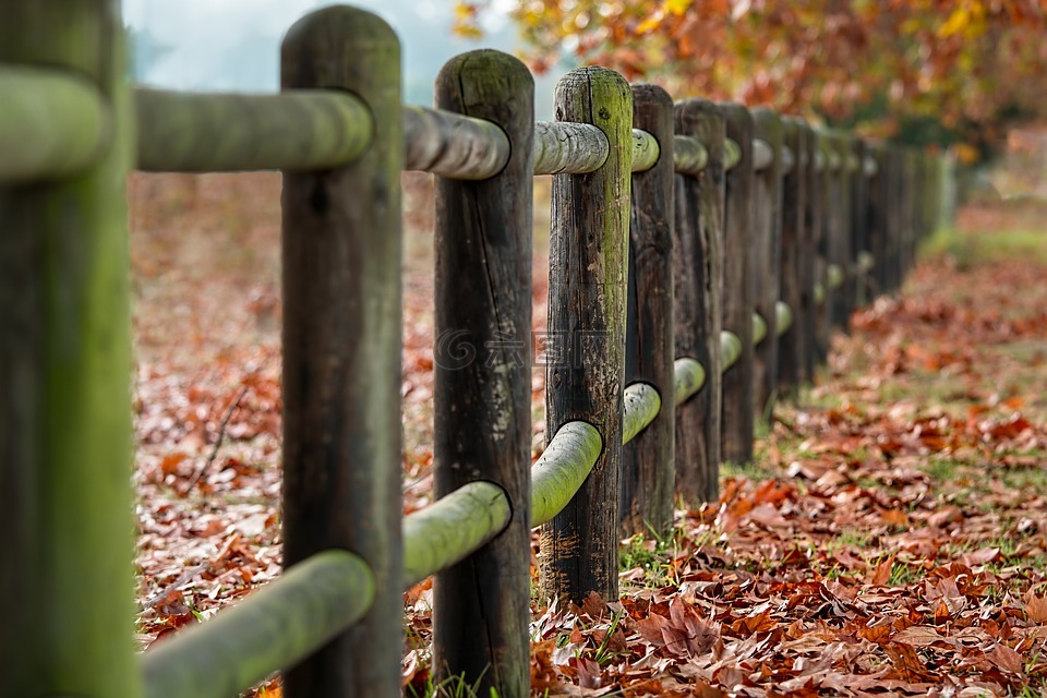 栅栏的立柱,秋,叶子