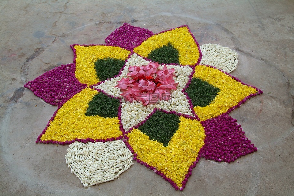 花 rangoli,民俗艺术,印度