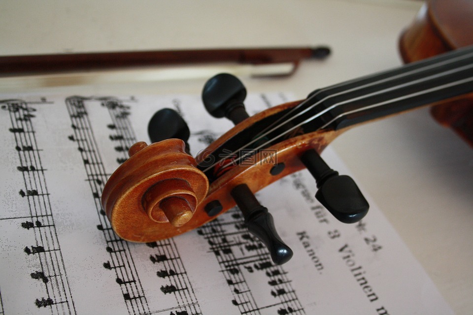 小提琴,弦乐器,音乐