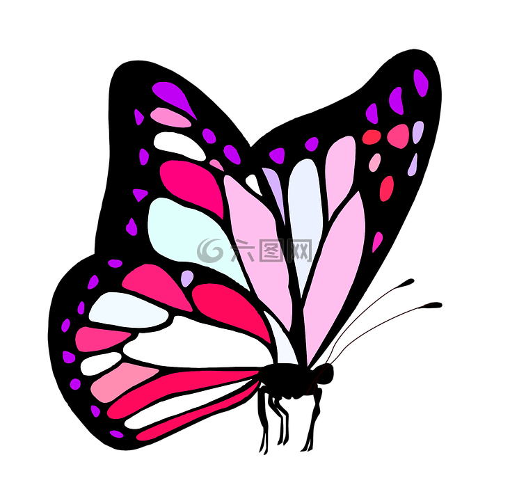 蝴蝶,粉红色,可爱
