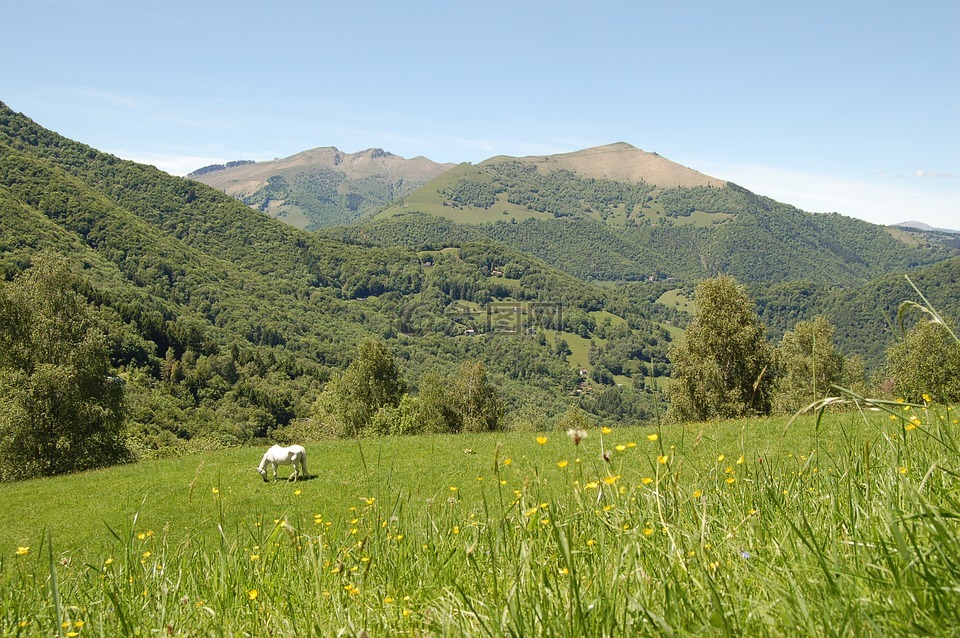 牧场,山,性质