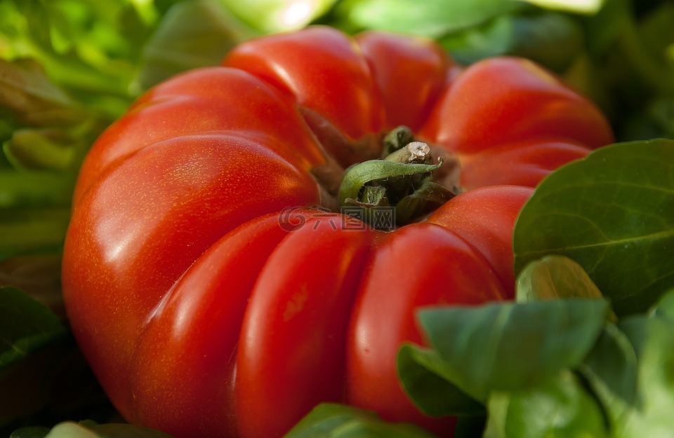 番茄,蔬菜,牛心脏
