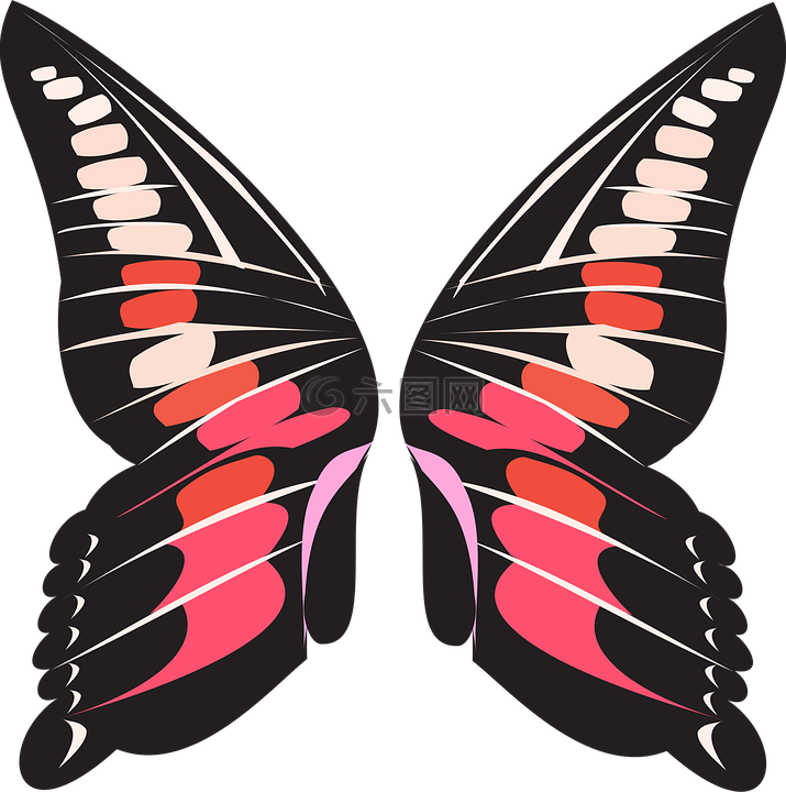 蝴蝶,翅膀,粉红色