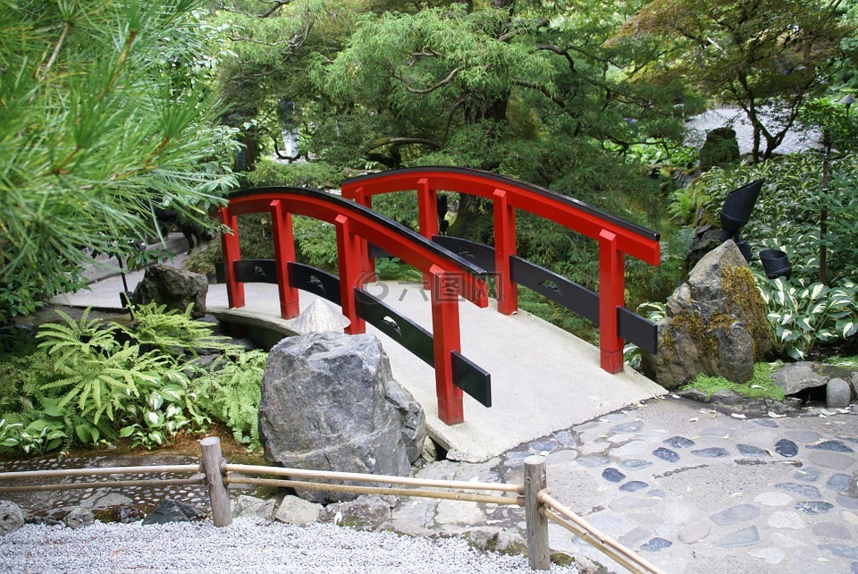 桥,红色,植物园