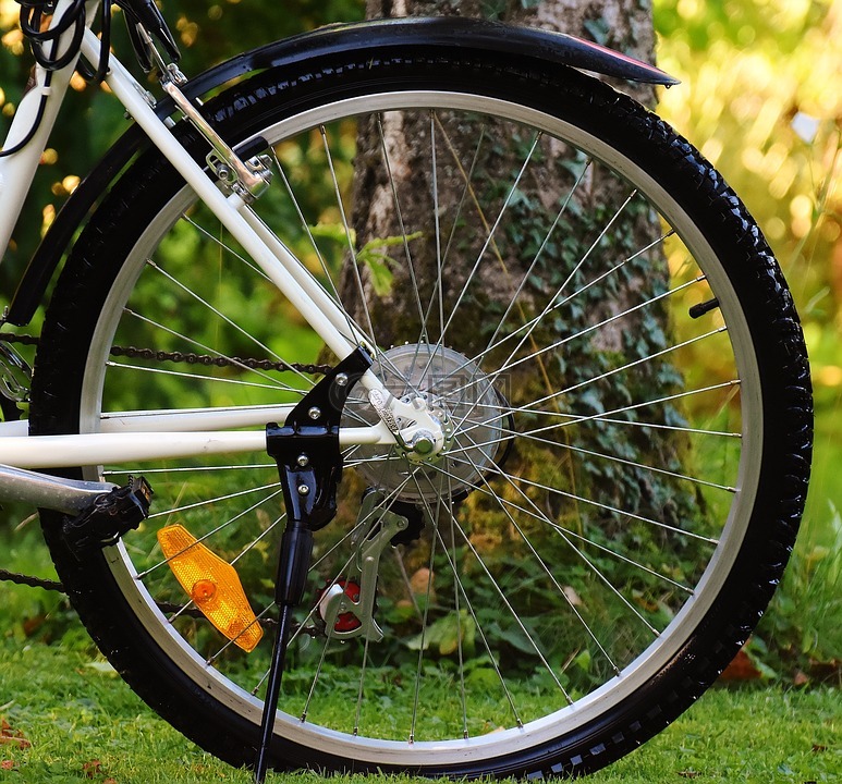 自行车,后轮,循环