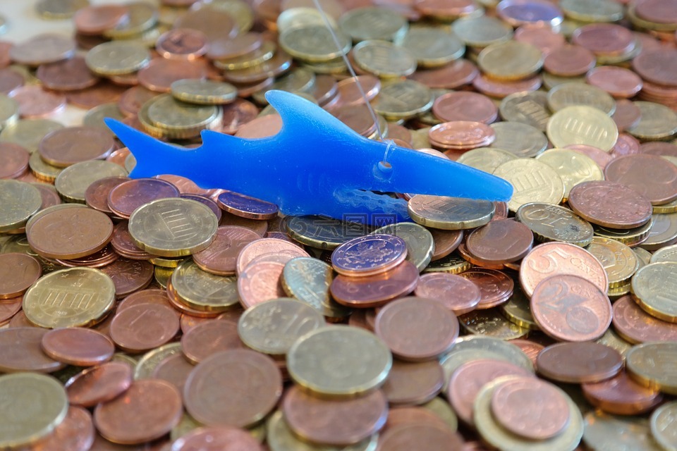 钱鲨鱼,硬币,百分之