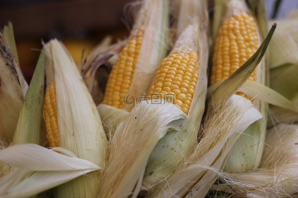 玉米,市场,蔬菜