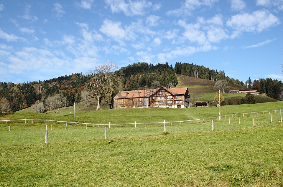 农场,小行政区的阿彭策尔,瑞士