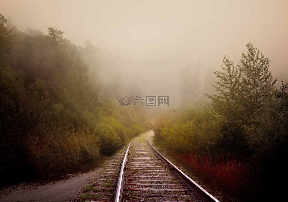 路,铁路,森林