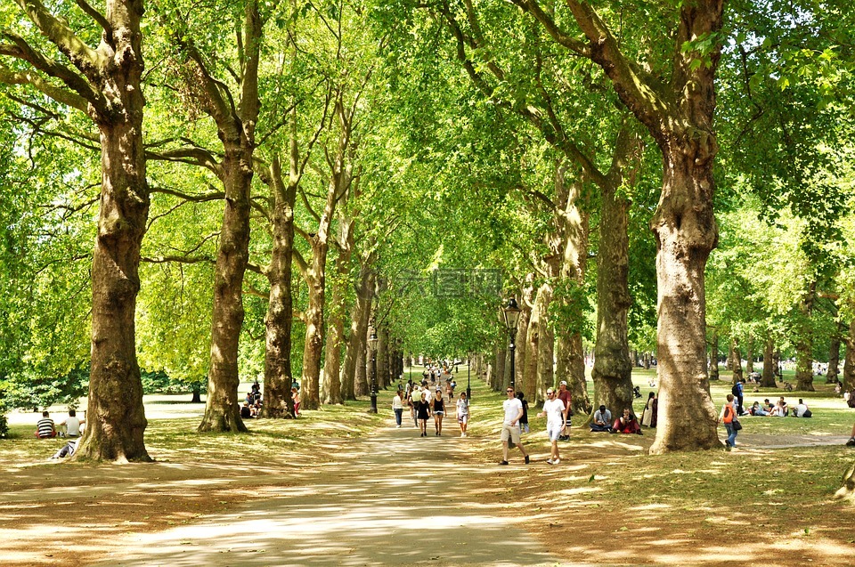绿色公园,伦敦,英国