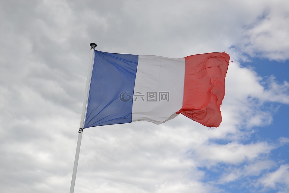 法国,标志,三色