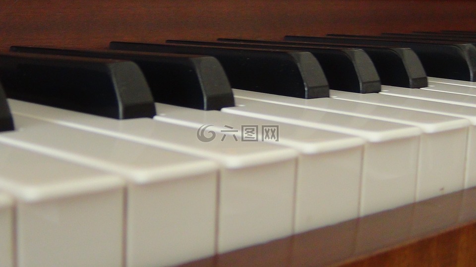 键,钢琴,钢琴键盘