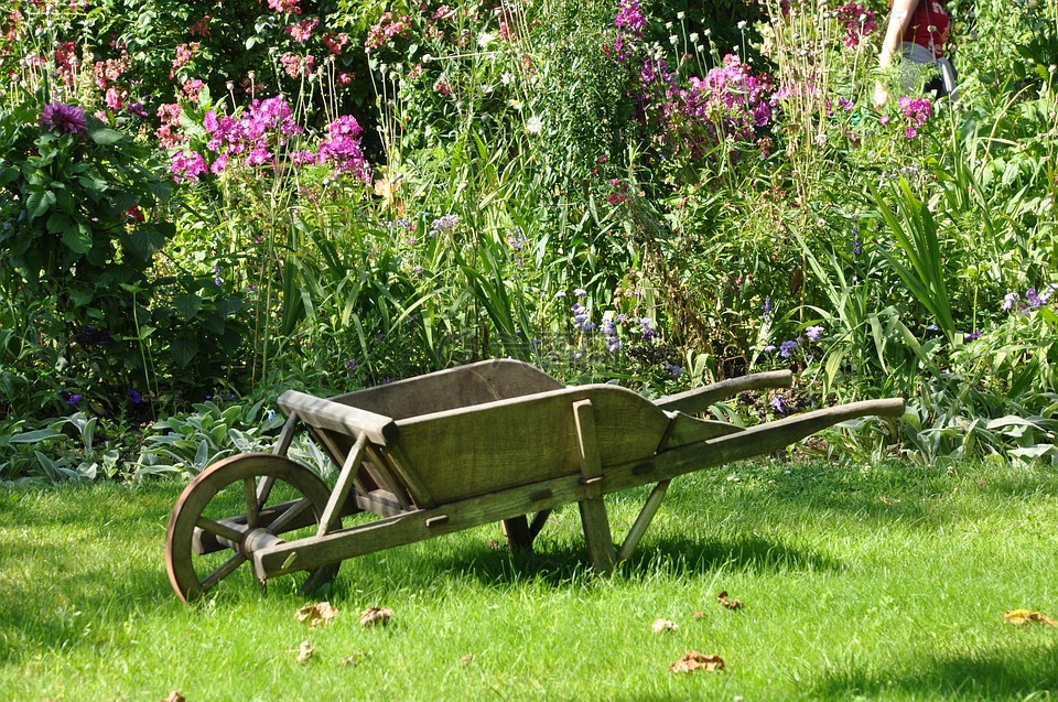 独轮手推车,花园,菜园