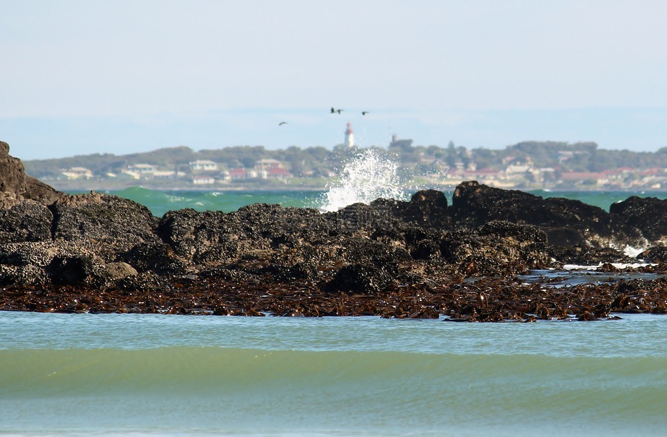 本岛,岩,海