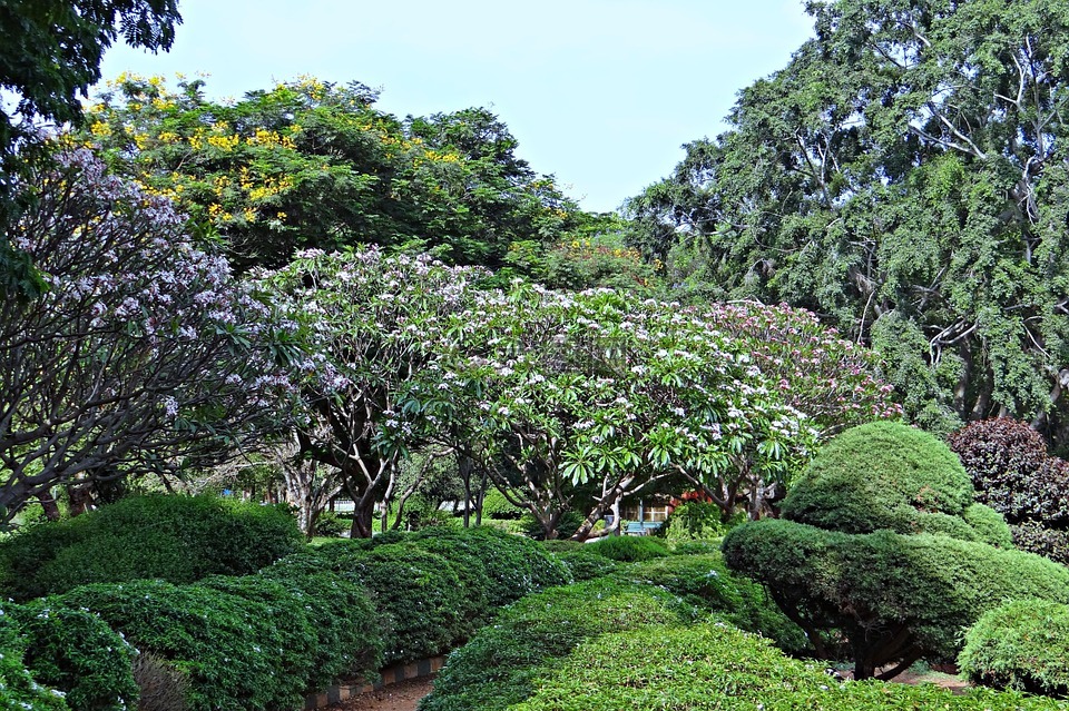 植物园,拉巴克,公园