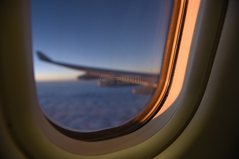 飞机,窗口,航空公司