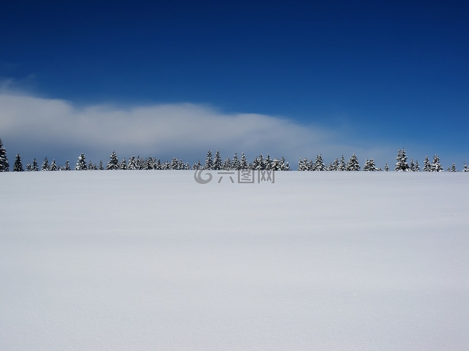 冬天,雪,平原