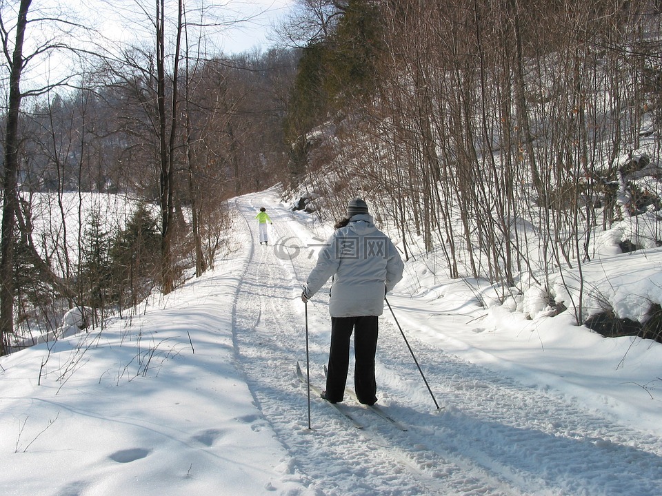 越野滑雪,雪,冬天