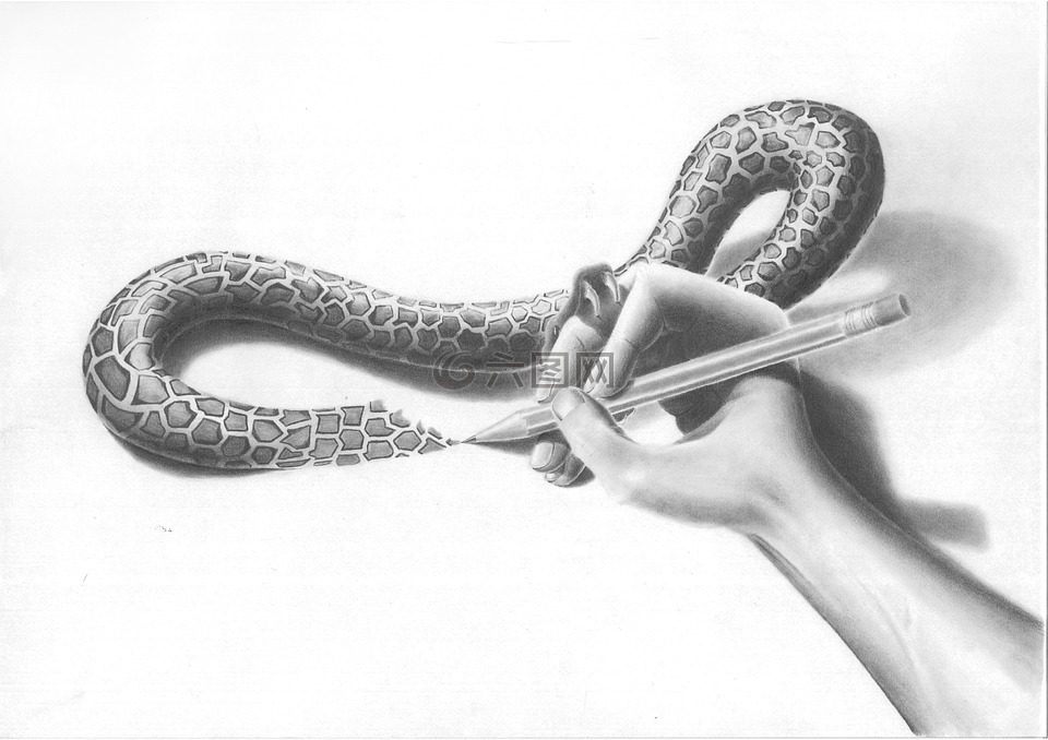 蛇,艺术,手
