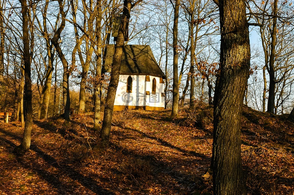 小教堂,秋季森林
