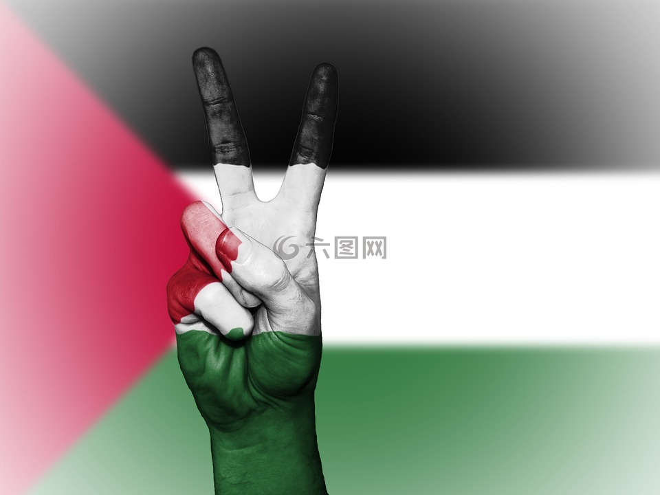 巴勒斯坦领土,和平,手