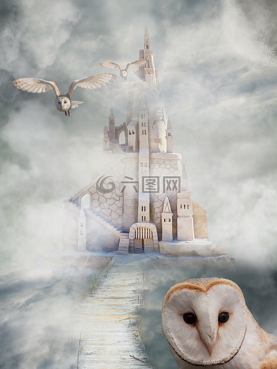 城堡,猫头鹰,童话故事