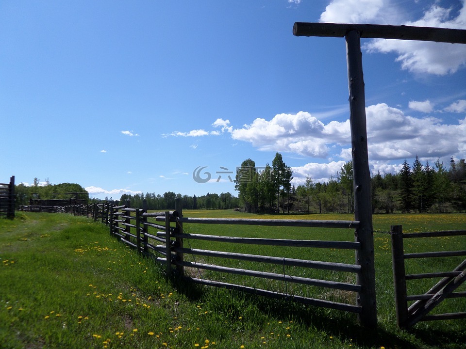 篱笆,牧场,农场