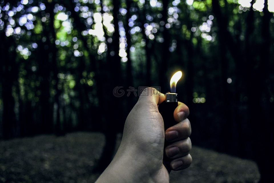 手,森林,打火机