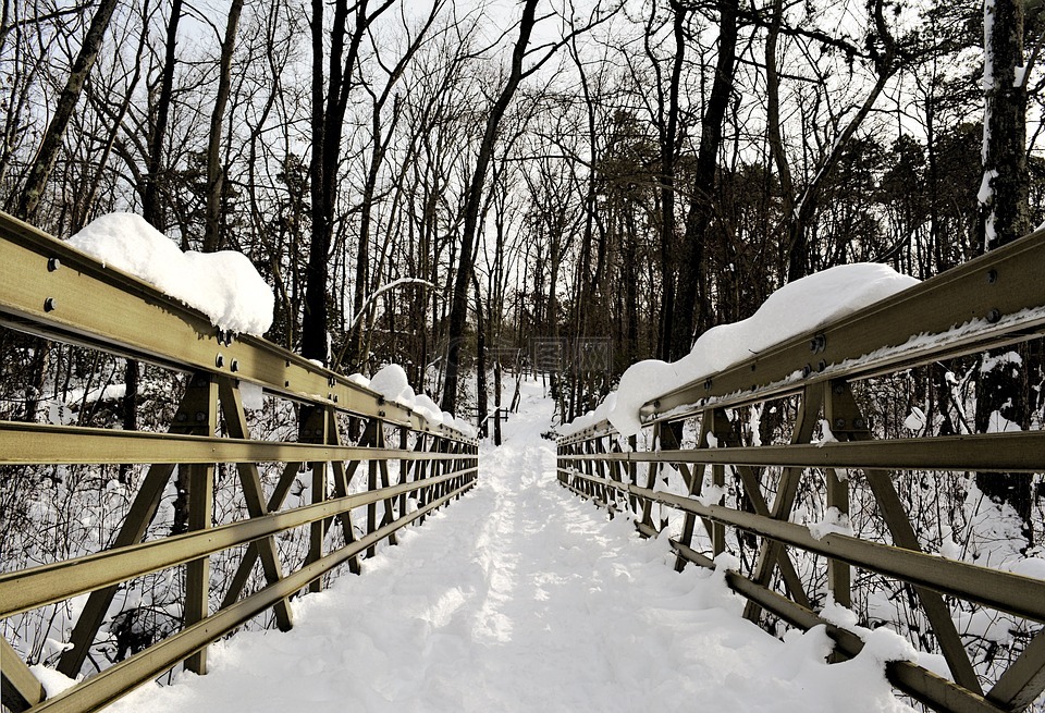 桥,雪,树