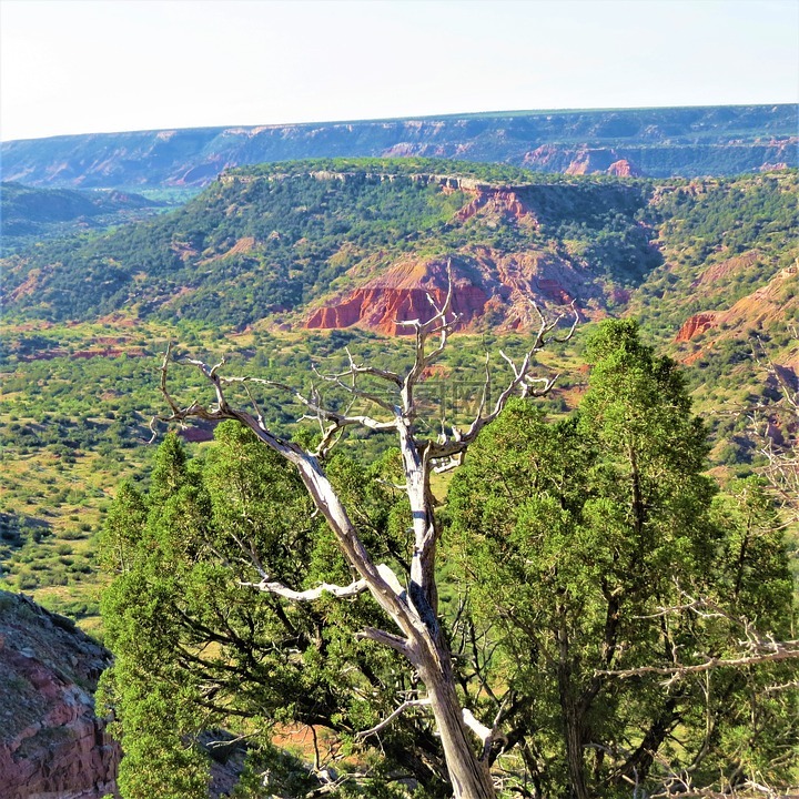 日出,palo duro峡谷,红砂岩