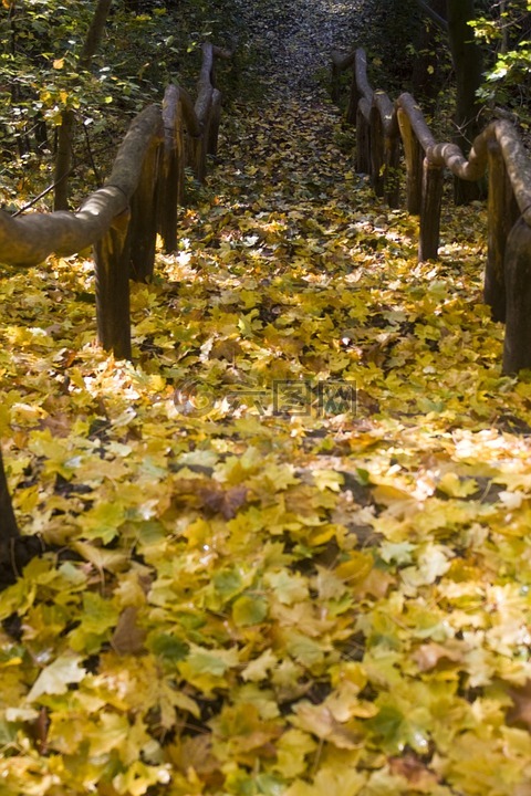 楼梯,徒步旅行,方式