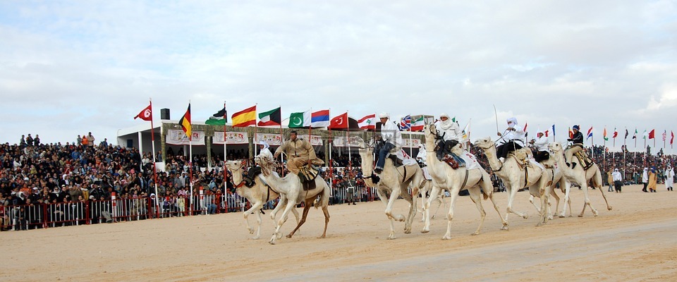 突尼斯,赛骆驼,艺术节