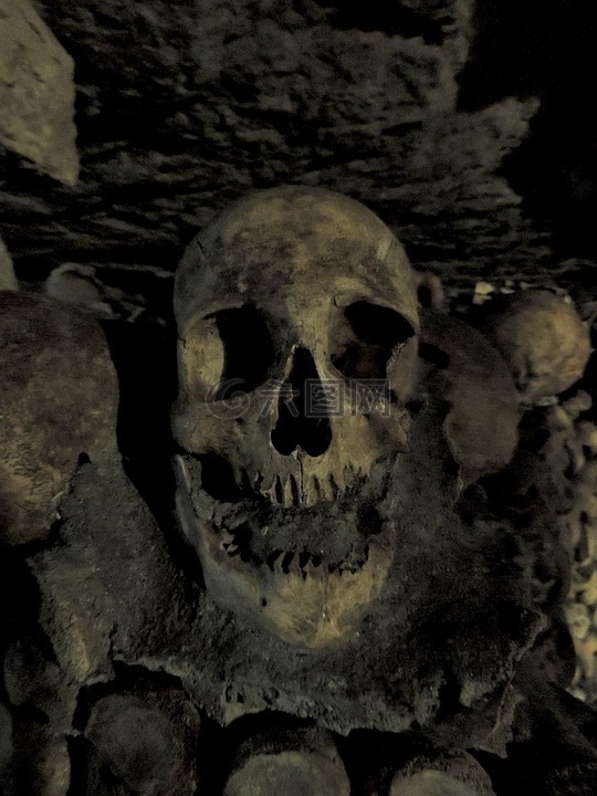 头骨,地下墓穴,巴黎